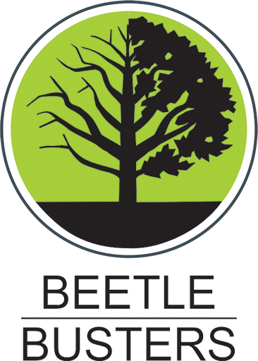 Beetle Busters